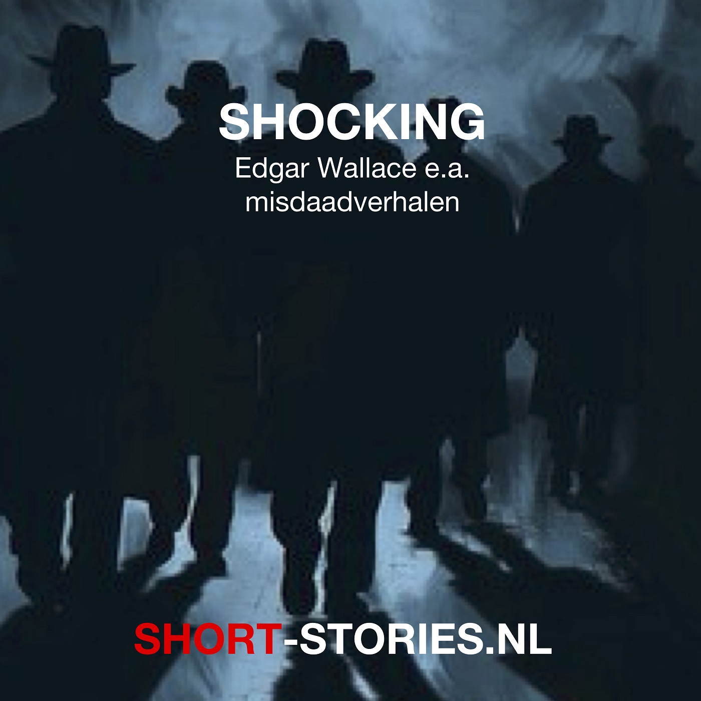 Omslag van Shocking