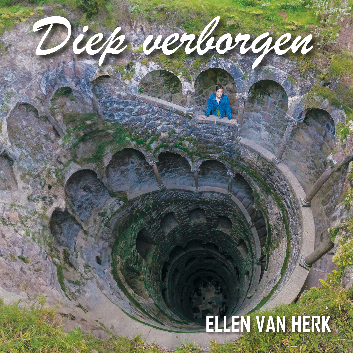 Omslag van Diep verborgen