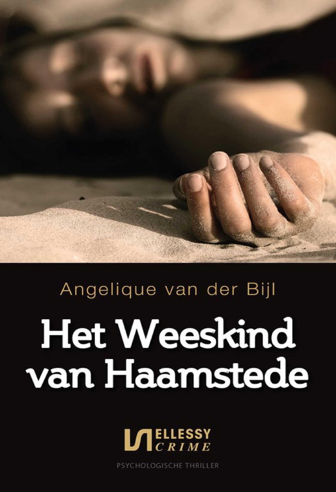 Omslag van Het weeskind van Haamstede