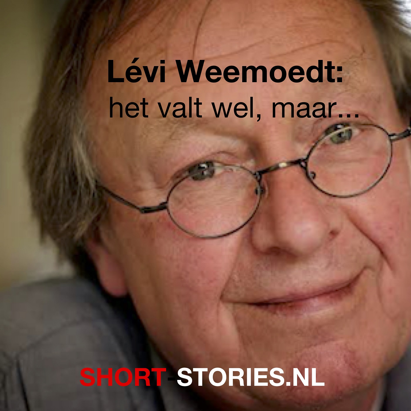 Omslag van Het valt wel maar...