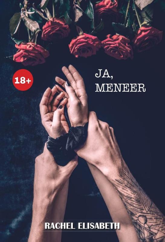 Omslag van Ja, meneer