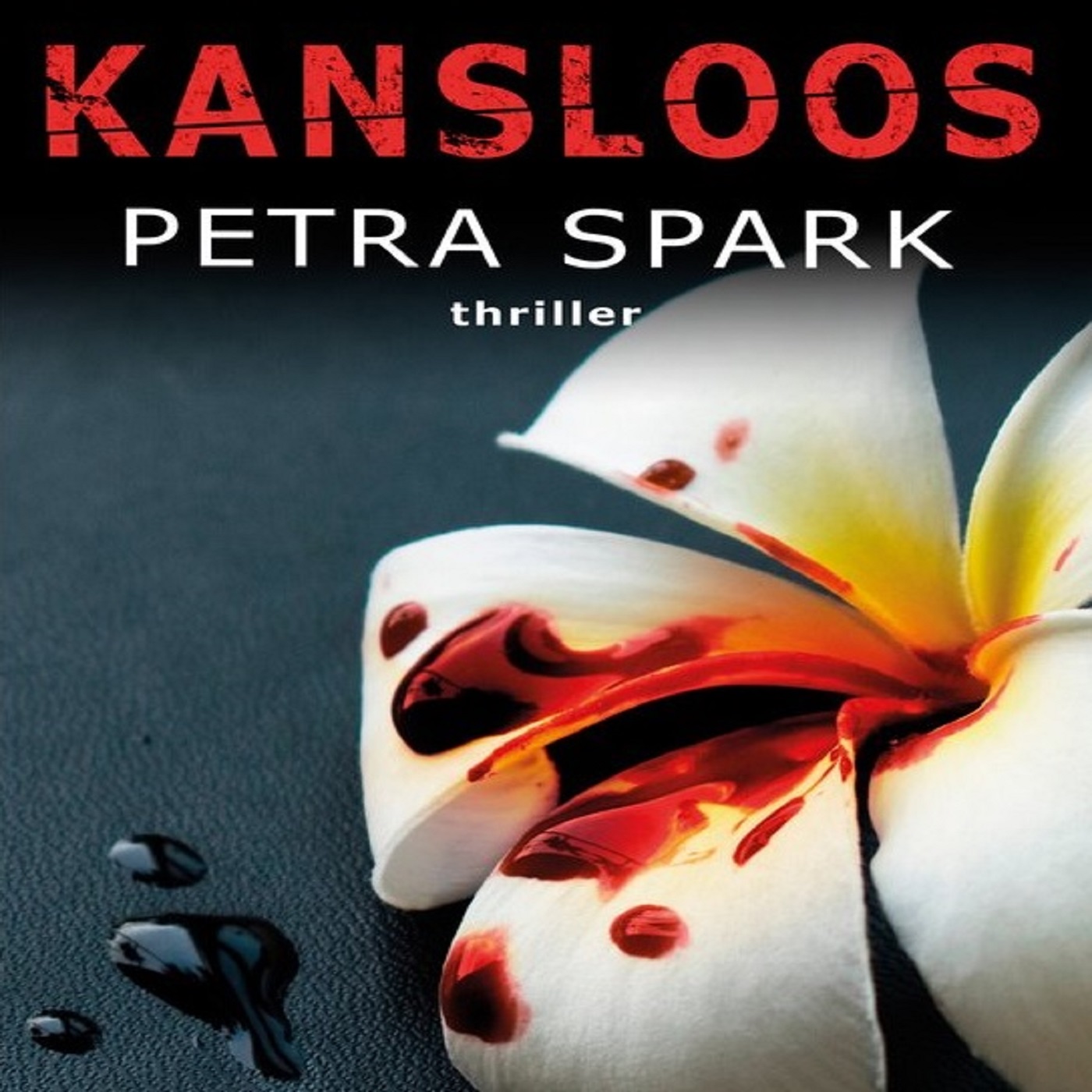 Omslag van Kansloos