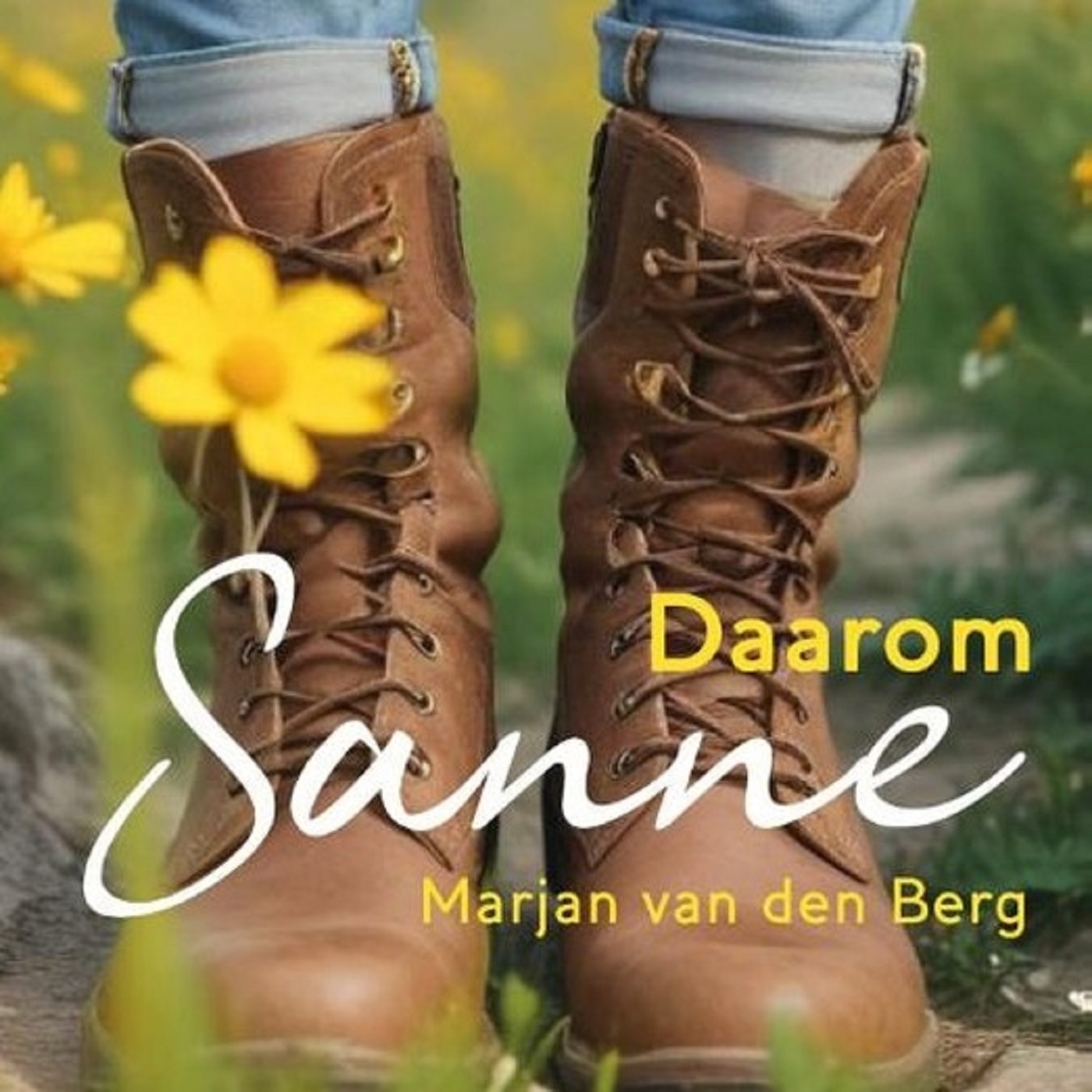 Omslag van Daarom Sanne