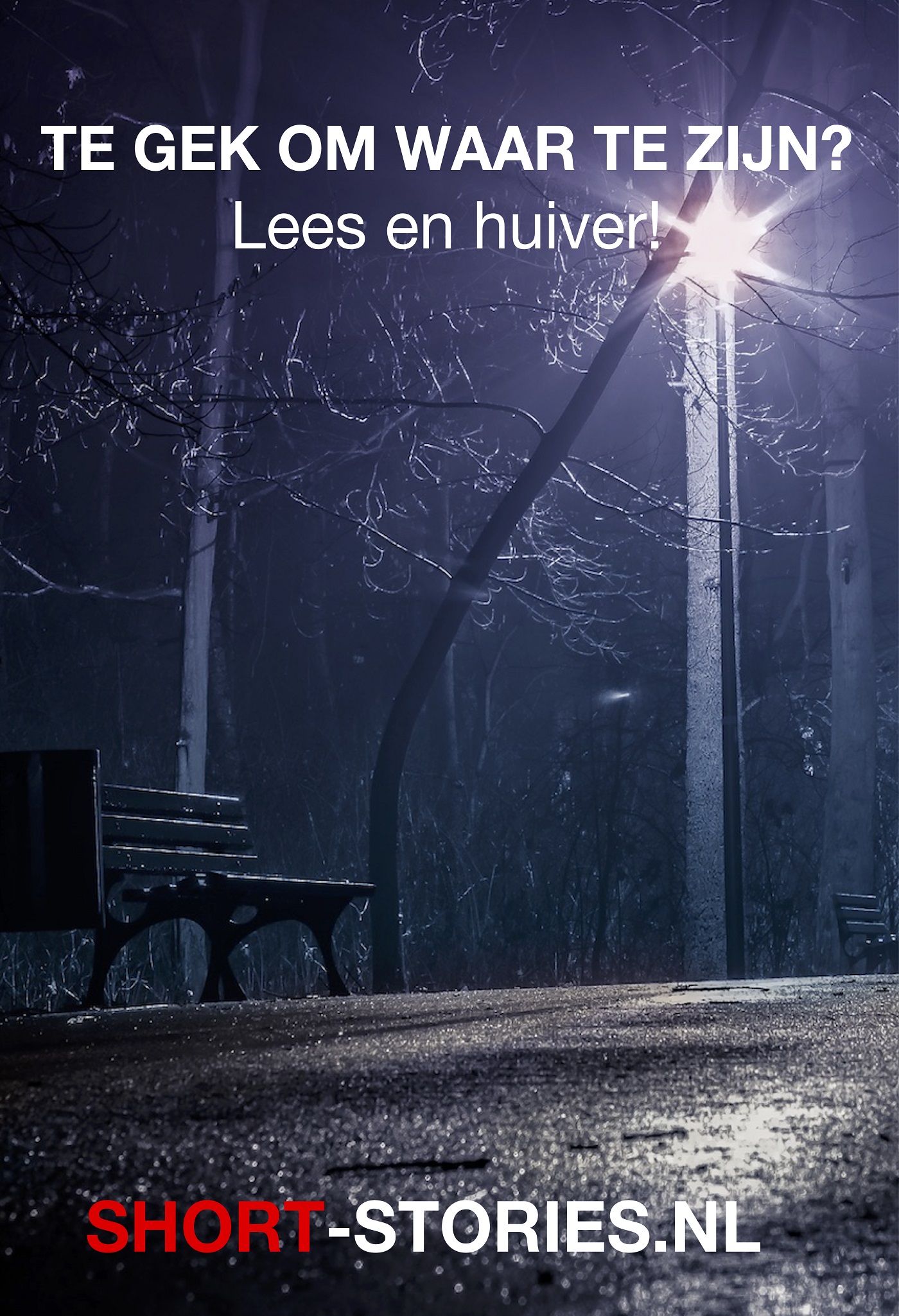 Omslag van Te gek om waar te zijn?