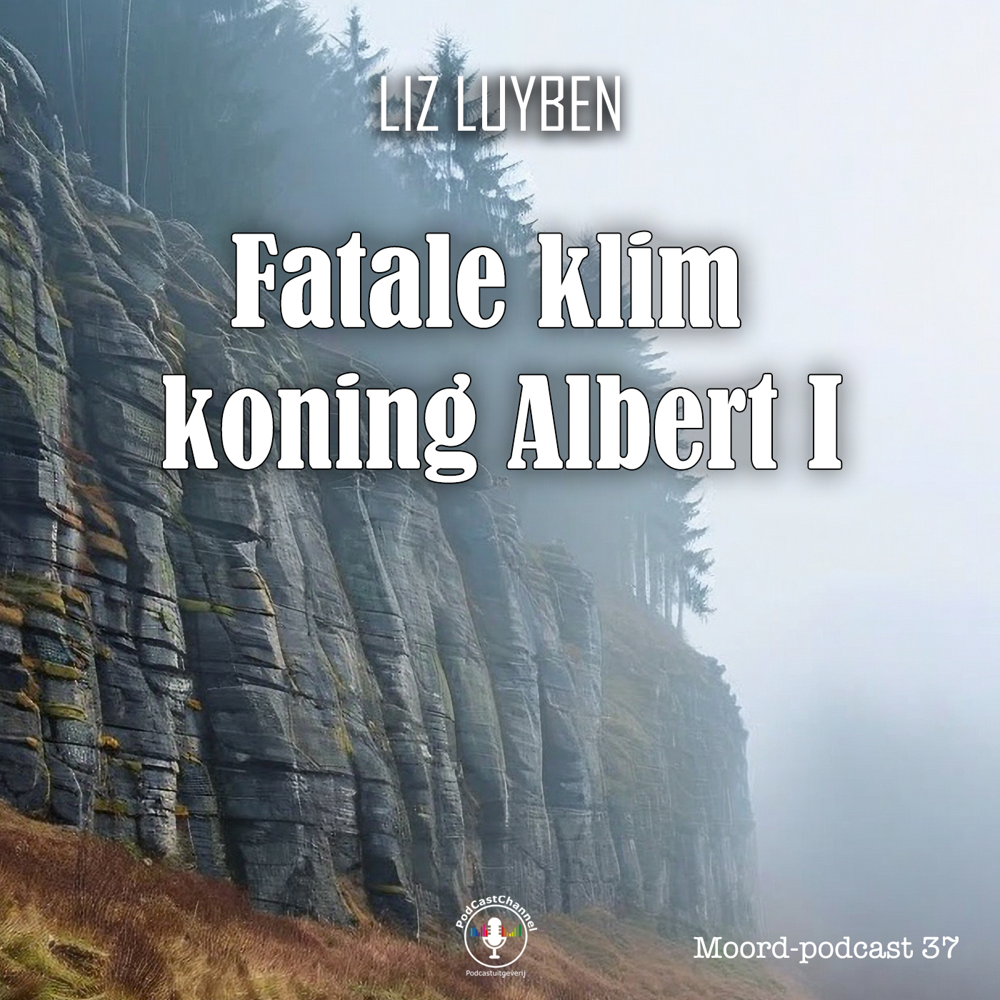 Omslag van Fatale klim koning Albert I
