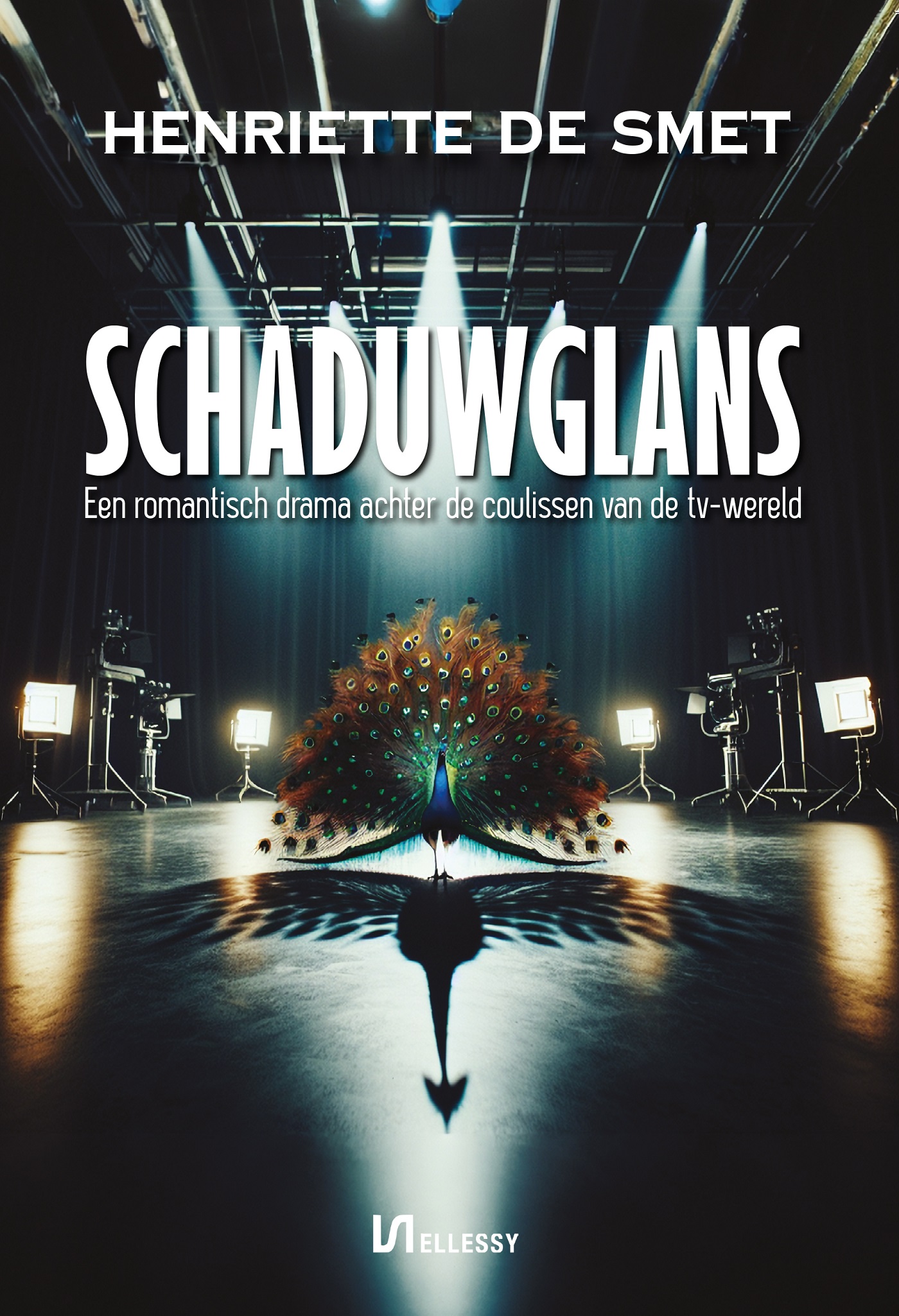 Omslag van Schaduwglans