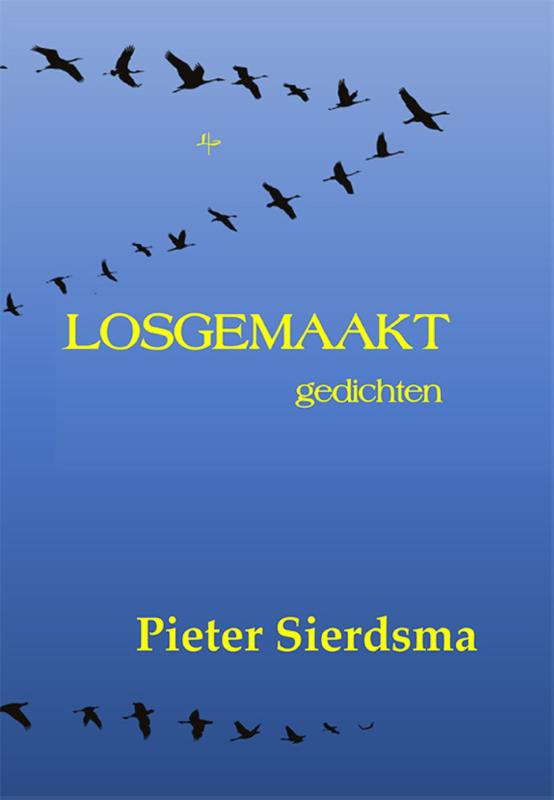 Omslag van Losgemaakt
