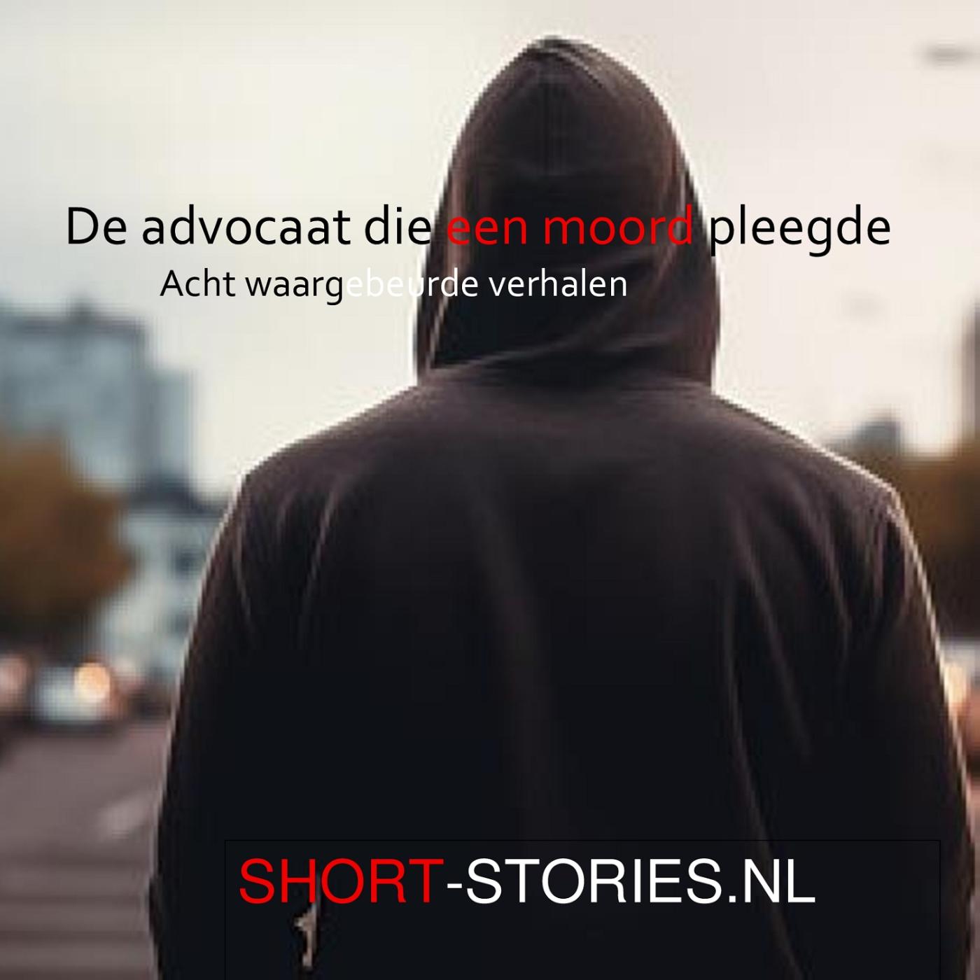 Omslag van De advocaat die een moord pleegde