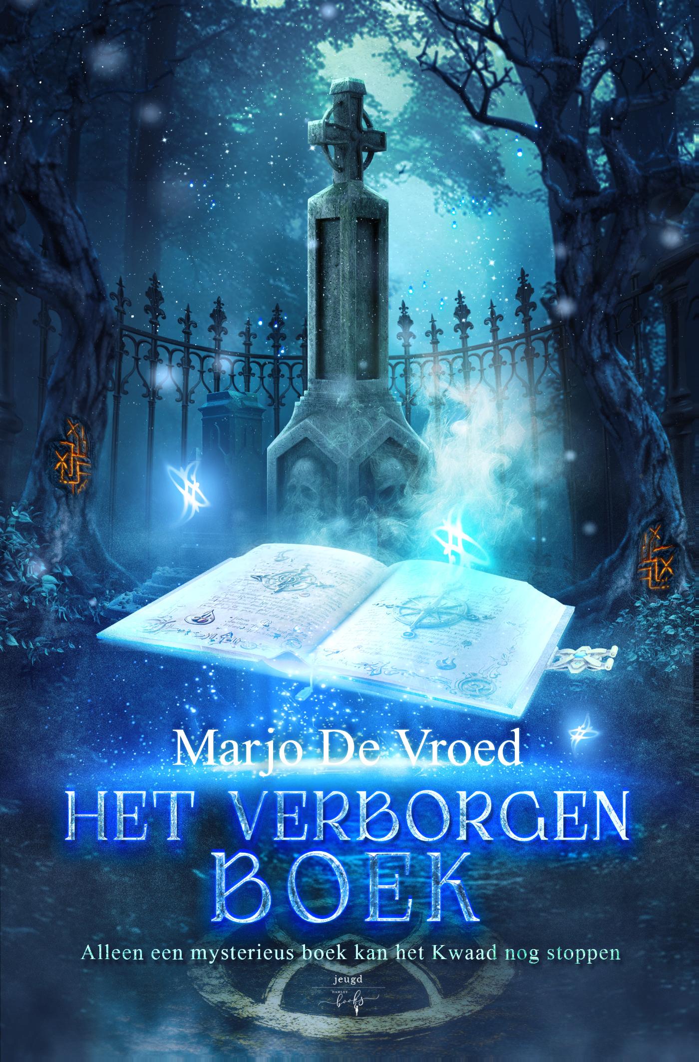 Omslag van Het verborgen boek