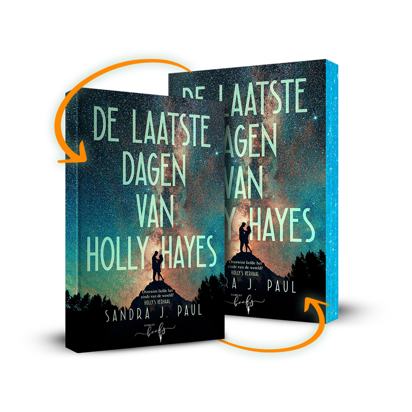 Omslag van De laatste dagen van Holly Hayes