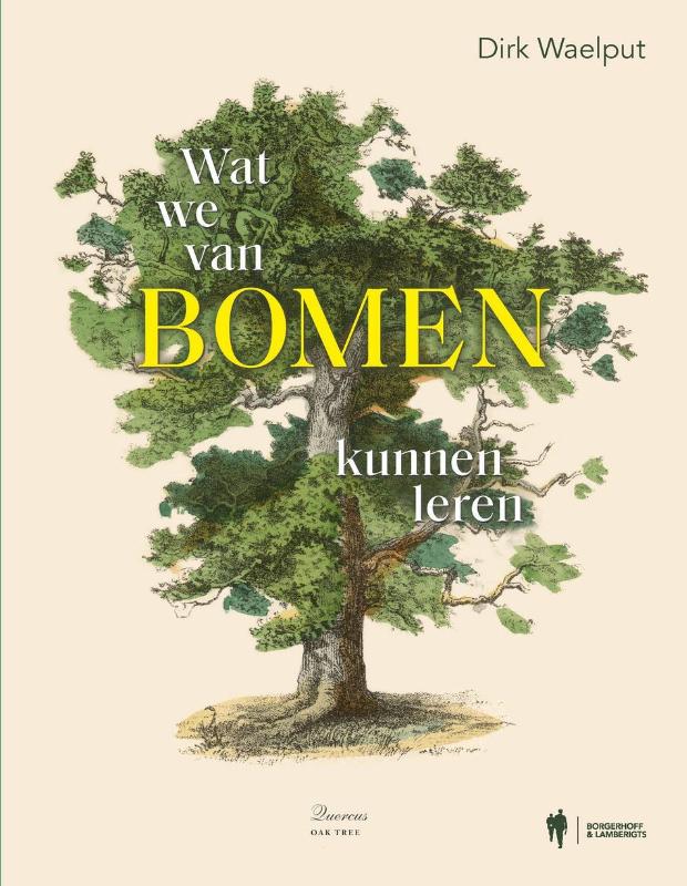 Omslag van Wat we van bomen kunnen leren