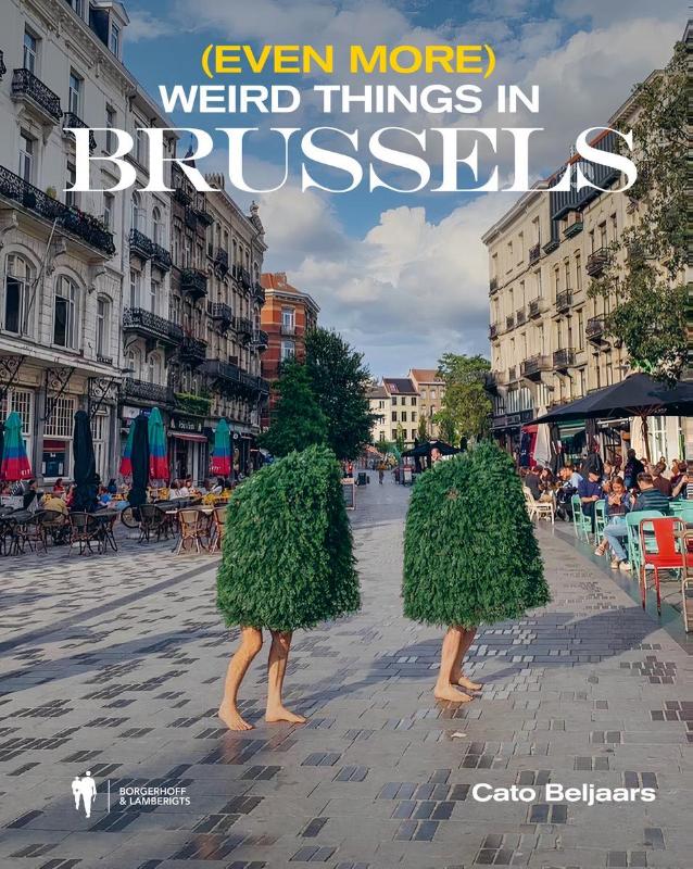 Omslag van (Even more) weird things in Brussels