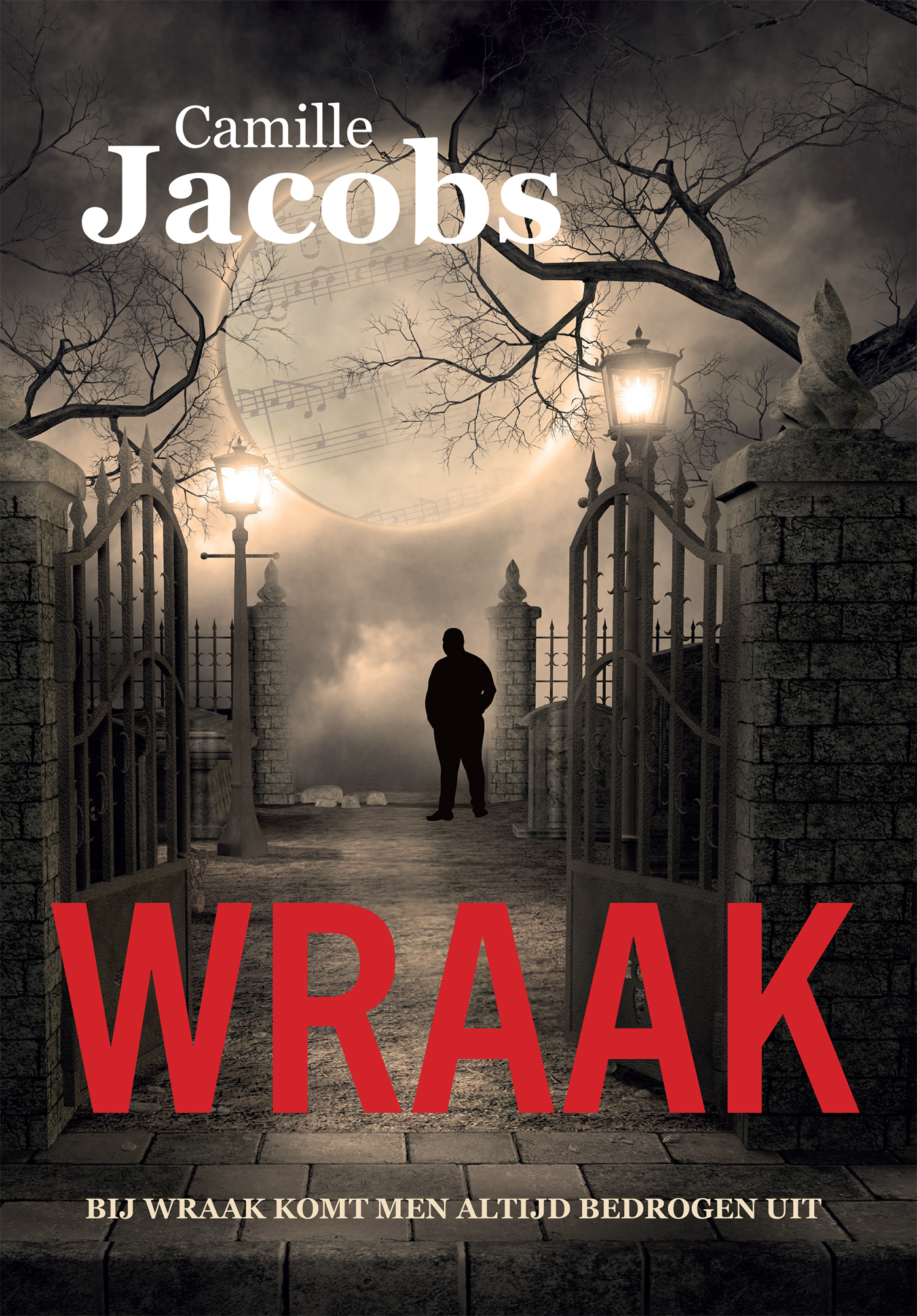 Omslag van Wraak