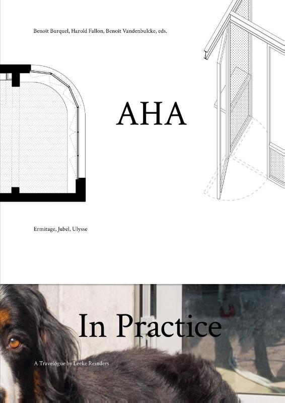 Omslag van AHA In Practice