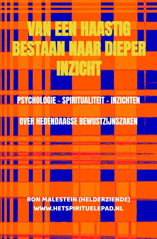 Omslag van Van een haastig bestaan naar dieper inzicht
