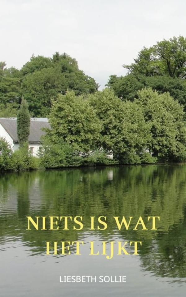 Omslag van Niets is wat het lijkt