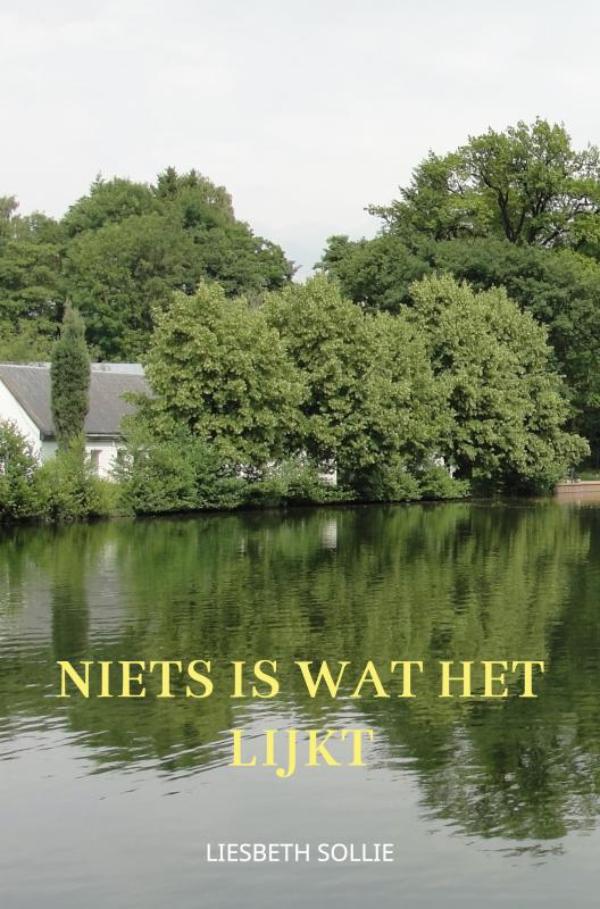 Omslag van Niets is wat het lijkt