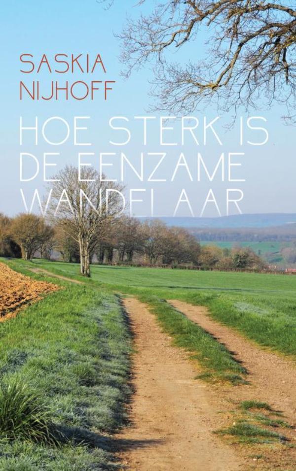 Omslag van Hoe sterk is de eenzame wandelaar