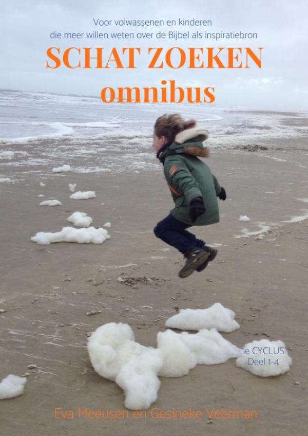 Omslag van Schat Zoeken omnibus deel 1-4