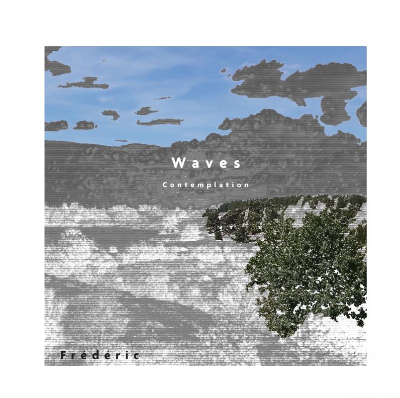 Omslag van Waves