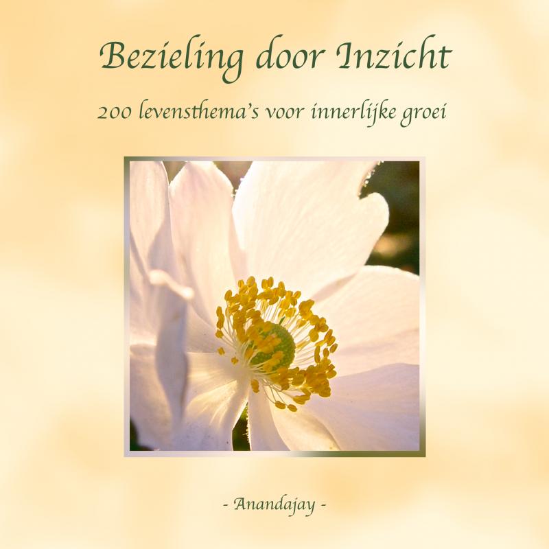 Omslag van Bezieling door Inzicht