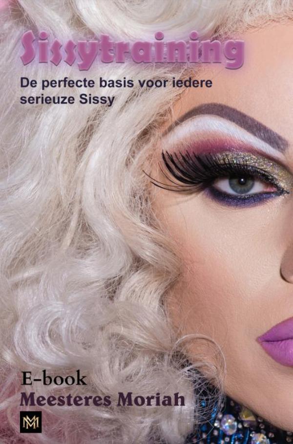 Omslag van Sissytraining