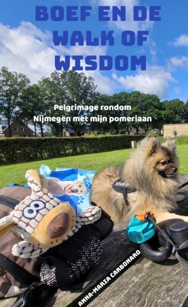 Omslag van Boef en de Walk of Wisdom