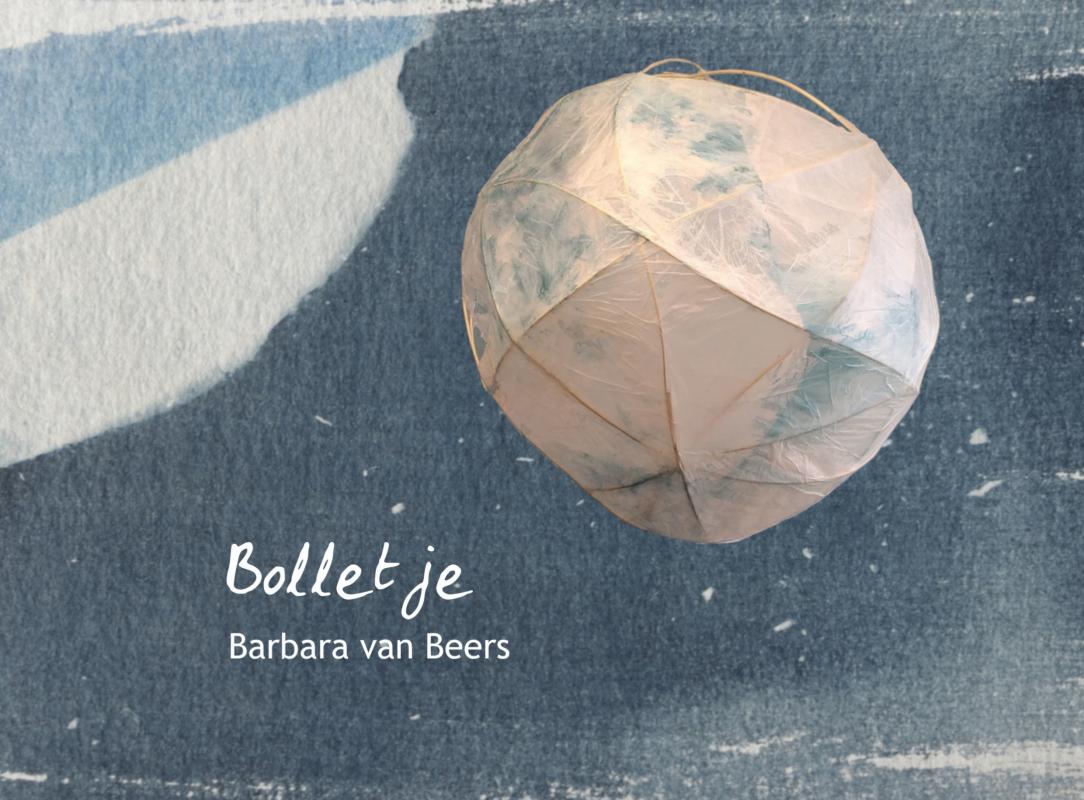 Omslag van Bolletje