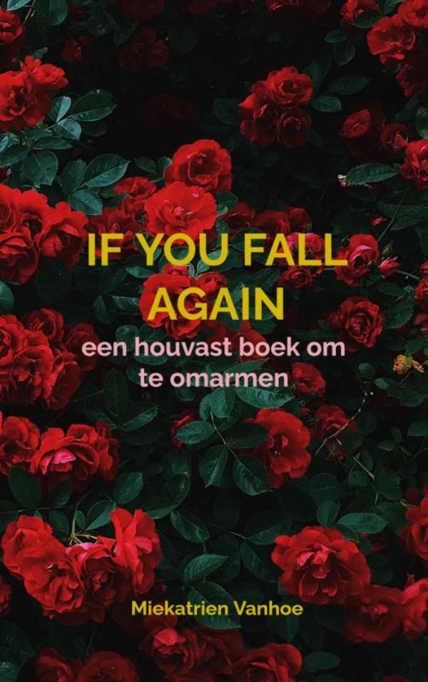 Omslag van If you fall again