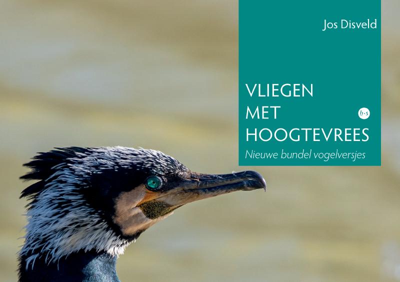 Omslag van Vliegen met hoogtevrees