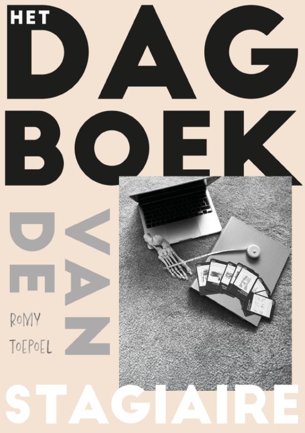 Omslag van Het dagboek van de stagiaire