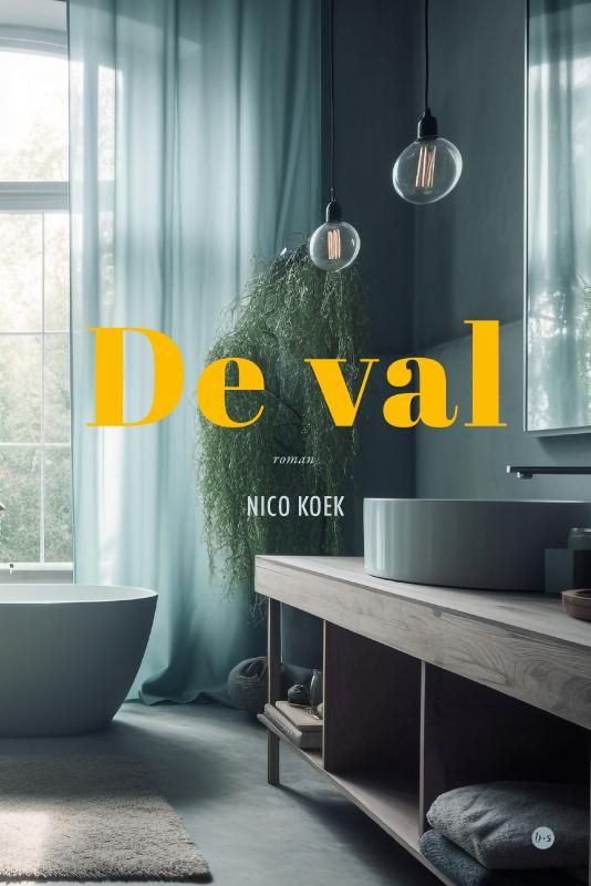 Omslag van De val