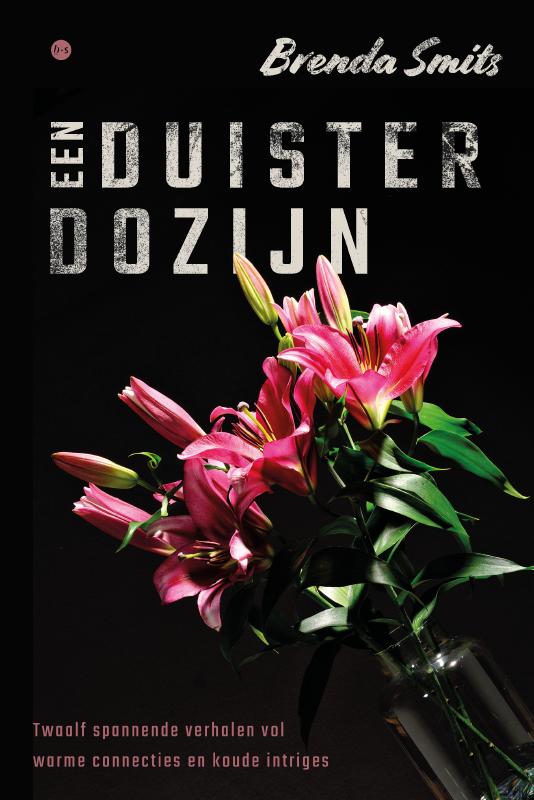 Omslag van Een duister dozijn