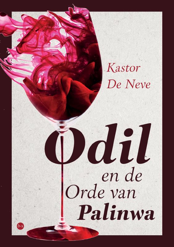 Omslag van Odil en de Orde van Palinwa