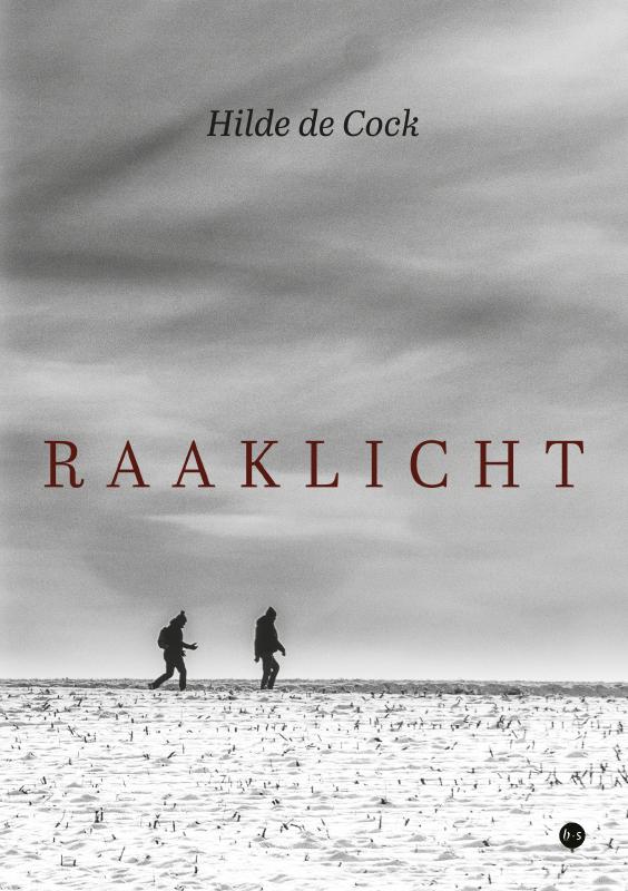 Omslag van Raaklicht