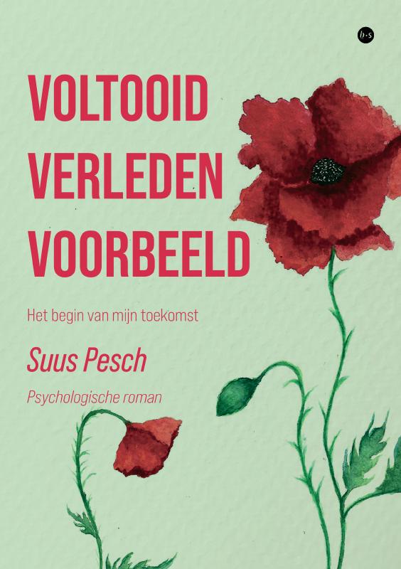 Omslag van Voltooid verleden voorbeeld