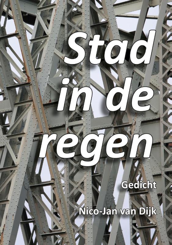 Omslag van Stad in de regen.