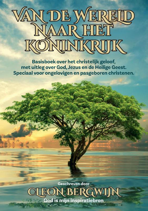 Omslag van Van de wereld naar het koninkrijk