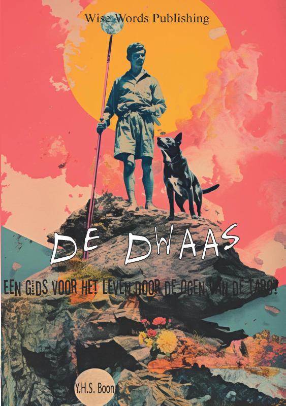 Omslag van De Dwaas