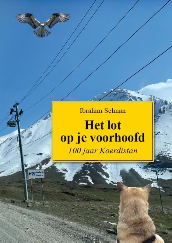 Omslag van Het Lot op je Voorhoofd