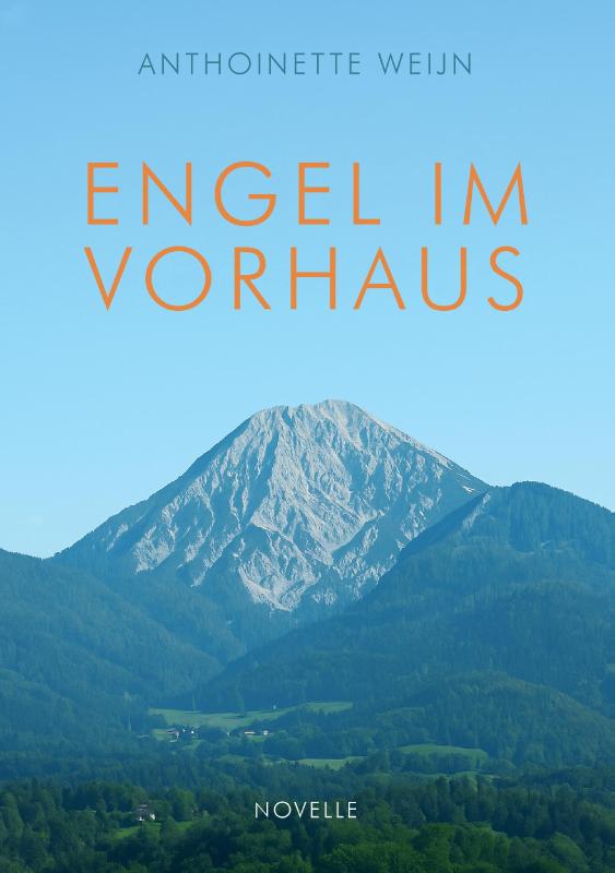 Omslag van Engel im Vorhaus