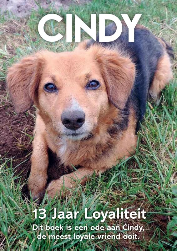 Omslag van Cindy - 13 Jaar Loyaliteit