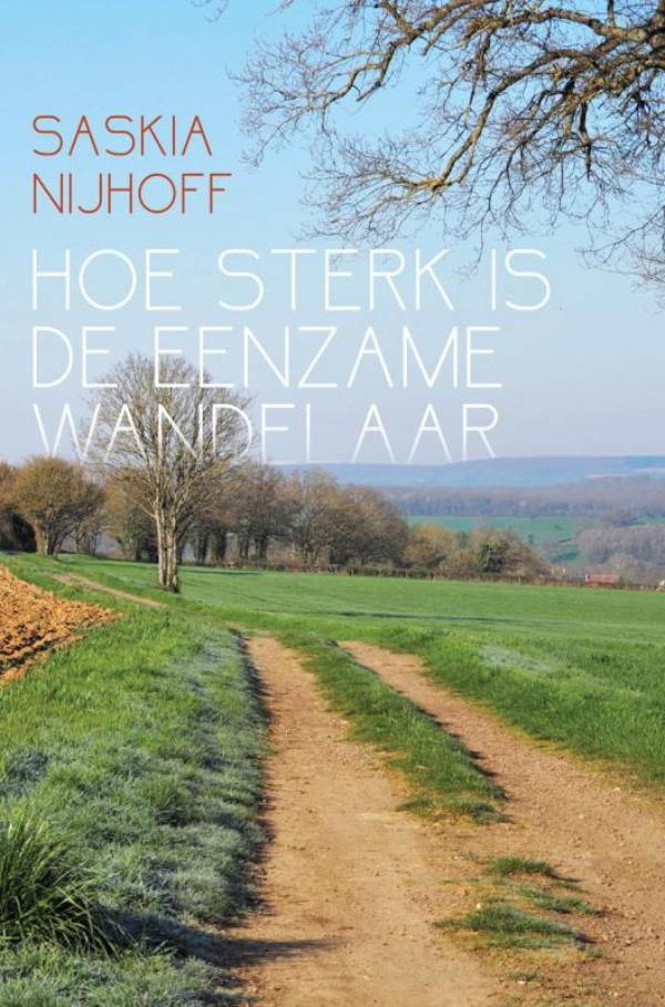 Omslag van Hoe sterk is de eenzame wandelaar