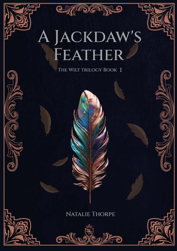 Omslag van A Jackdaw's Feather