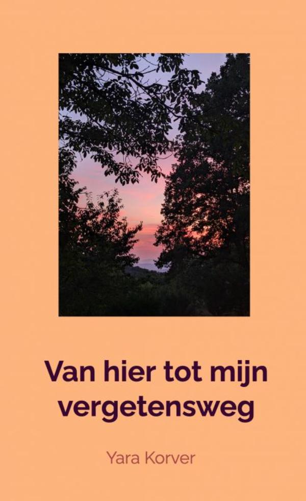 Omslag van Van hier tot mijn vergetensweg