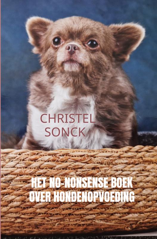 Omslag van Het No-Nonsense Boek over Hondenopvoeding