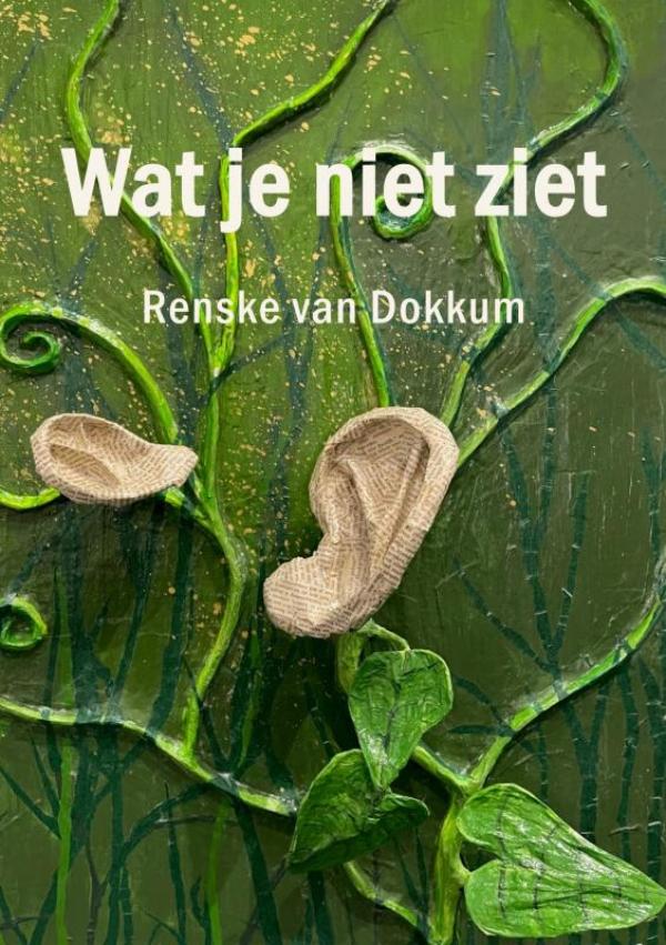 Omslag van Wat je niet ziet