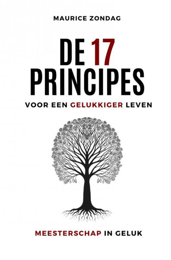 Omslag van De 17 Principes voor een Gelukkiger Leven