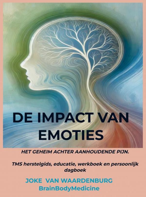 Omslag van De impact van emoties