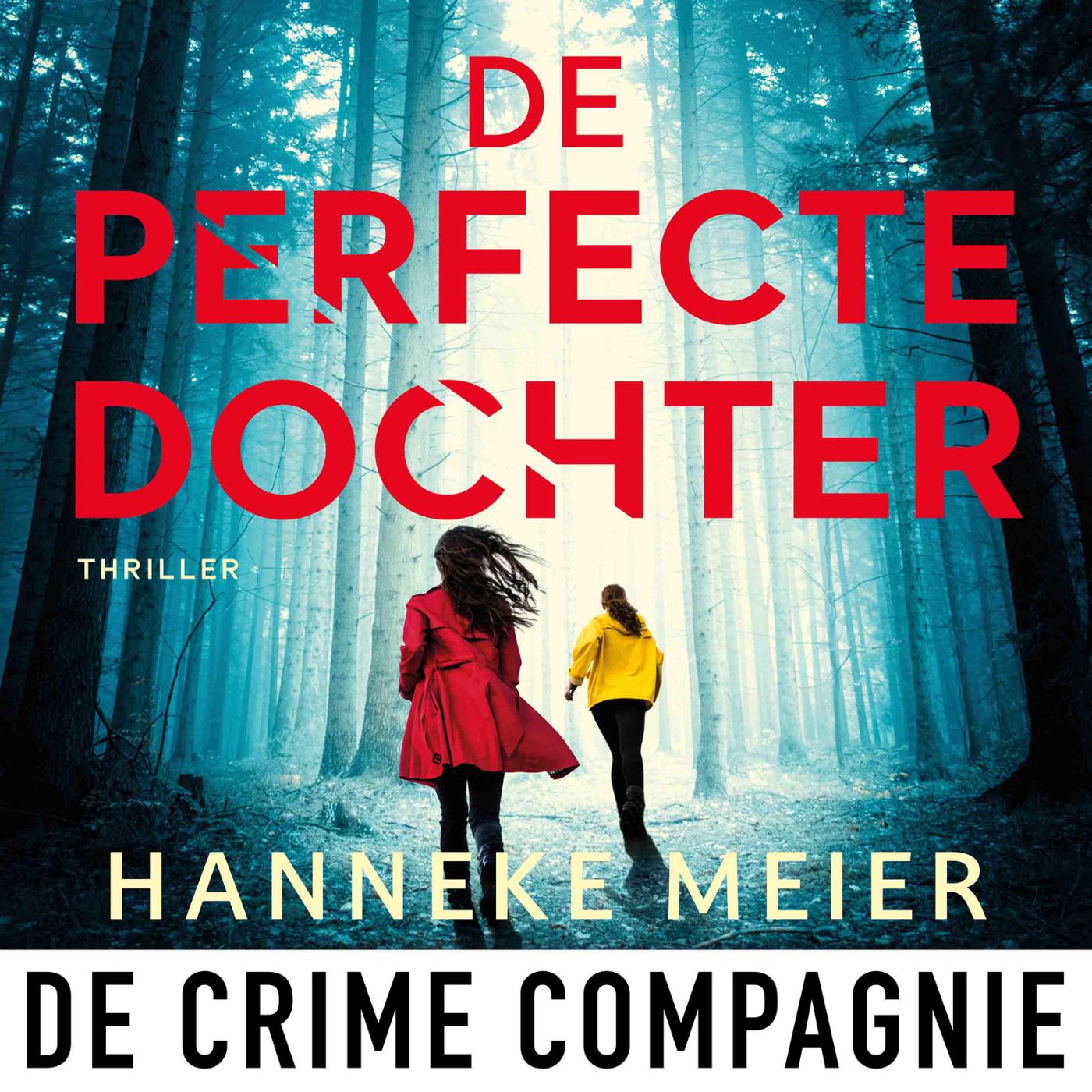 Omslag van De perfecte dochter